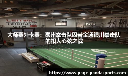 大师赛外卡赛：泰州拳击队固若金汤银川拳击队的扣人心弦之战